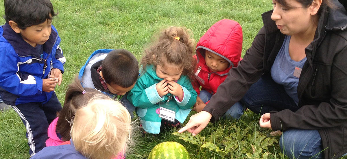 Children looking at watermelon
